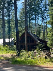 A cabin in the woods