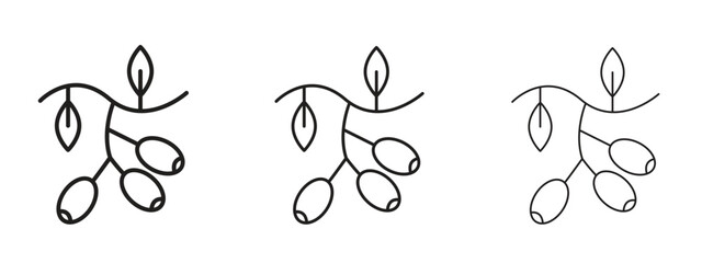 Jujube icon for Graphic Design Projects