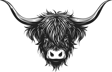 Highland cow head with long horns in detailed black and white illustration. Vector illustration