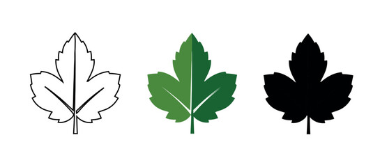 Obraz premium Three Leaf Graphics in Outline, Solid Green, and Black Silhouette Depicting Botanical Nature