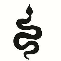 black and white snake