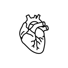 Simple Black Line Drawing of a Human Heart.
