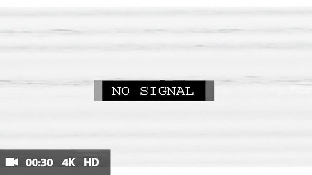 No Signal: A visual representation of a no signal error on a television screen. Static lines and a clear no signal message, common in a digital world. 