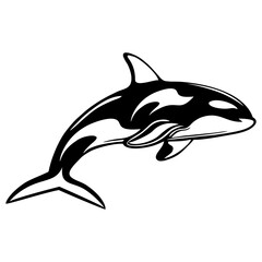 orca isolated on white background