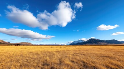 Fototapeta premium Majestic Icelandic horses in courtship against stunning mountain backdrop