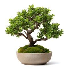 Completely black image