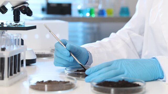 Scientist taking soil sample for research at white table in laboratory, closeup