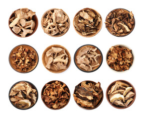 Dried mushrooms in bowls isolated on white, set. Top view