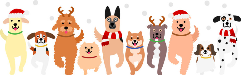 walking dogs in a row, X'mas