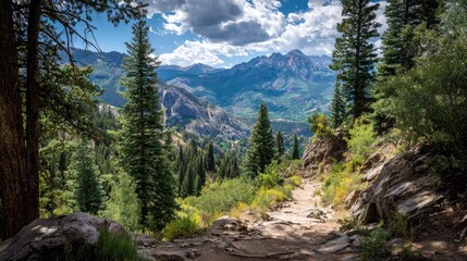 Obraz premium Scenic Mountain Trail Surrounded by Lush Green Trees and Dramatic Sky with Clouds in a Beautiful Natural Landscape