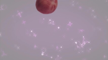 With nodes drifting, red apple entering frame, spinning then dropping out, showcasing network - Powered by Adobe