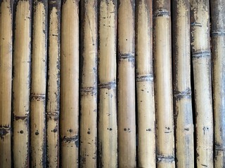 Natural Bamboo Wall Texture: Vertical Organic Poles as a Rustic Background.

