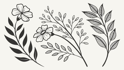 Illustration of three floral branches with flowers and leaves in a simple black outline style design