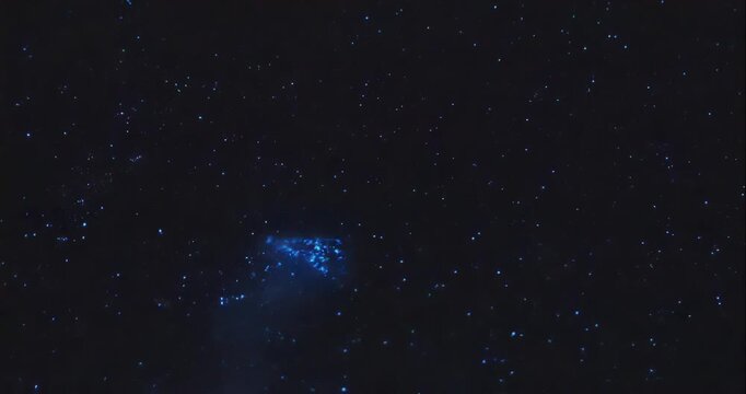 Blue tears Noctiluca scintillans. Photographed in Matsu, Taiwan