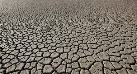 dry cracked ground