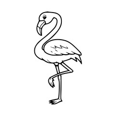cartoon flamingo bird drawing