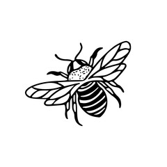 Obraz premium nature-inspired bee drawing for design