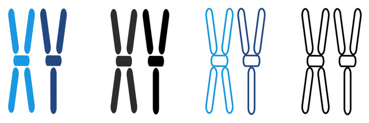 The x and y chromosome icon are shown in a simple design determining gender in humans in the field of genetics, biology, especially in the context of fetal health.