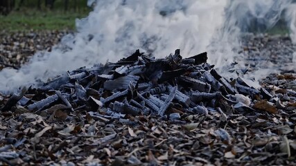 drifting gray plumes billow slowly upward from smoldering heaps of burning leaves and natural debris suggesting either controlled yard work or a spontaneous combustion scene as thick smoke gently - Powered by Adobe