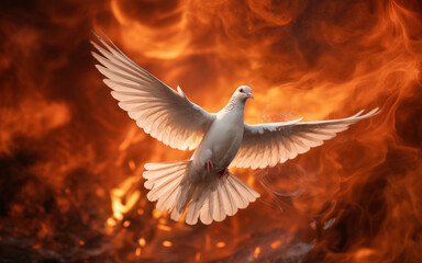 Obraz premium A dramatic photograph of a white dove in flight against a backdrop of intense orange and red flames. The dove's wings are fully extended, displaying pure white feathers in sharp detail.