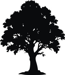 Obraz premium Elegant Silhouette of an Oak Tree with Wide Canopy and Strong Roots