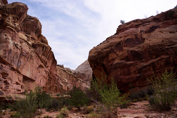 Towering sandstone canyon walls at Capitol Reef National Park