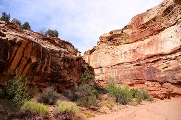 Fototapeta premium Honeycomb weathered sandstone walls at Capitol Reef National Park