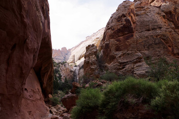 Narrow sandstone canyon passage in Capitol Reef Utah