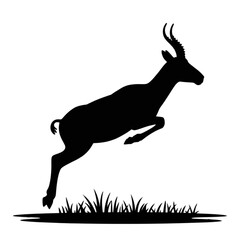 Obraz premium Gazelle Leaping Over Grass antelope jumping