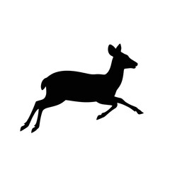 Fototapeta premium Graceful leaping deer silhouette running animal