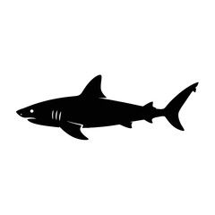 Fototapeta premium Great White Shark Silhouette marine life ocean