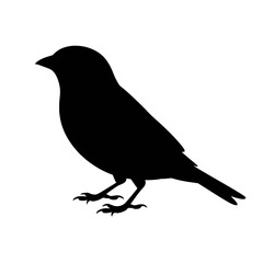 Obraz premium Majestic Stag Silhouette deer animal