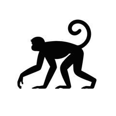 Primate Silhouette monkey animal