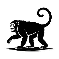 Fototapeta premium Primate silhouette with curled tail monkey animal