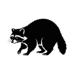 Obraz premium Raccoon Walking Forward animal wildlife