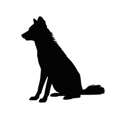 Obraz premium Sitting Wolf Silhouette animal wild