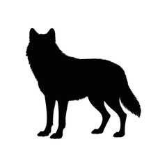 Standing Wolf Silhouette animal wild
