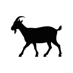 Fototapeta premium Walking Goat Silhouette animal farm animal