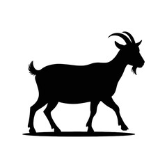 Fototapeta premium Walking Goat Silhouette animal mammal