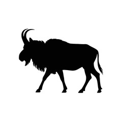Obraz premium Wildebeest Silhouette animal mammal