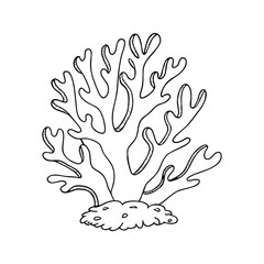 Coral drawing in chalk style with intricate branch design  