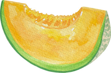 Watercolor Melon, Transparent Background
