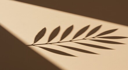 Shadow of a leafy branch cast on a beige surface with a light source from the upper left corner