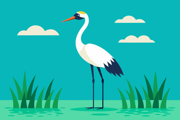 A beautiful white egret bird with a long beak is standing in the water on the beach
