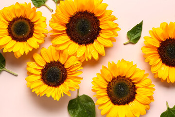 Beautiful Sunflowers And Leaves Pink