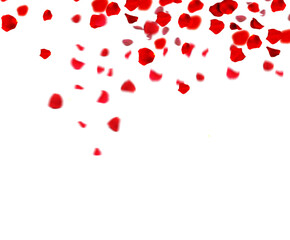red hearts on white background