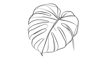 Fototapeta premium A leaf is drawn in black and white