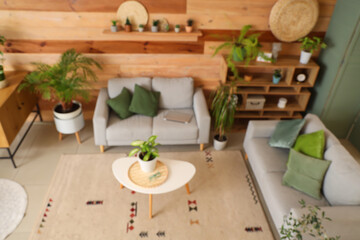 Blurred view of living room with green plants, sofas and shelves