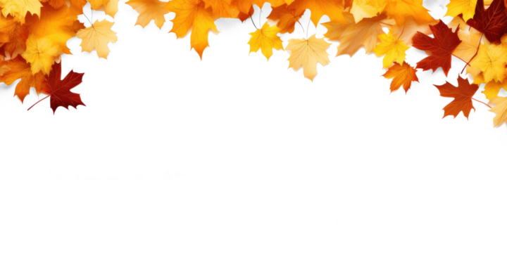 A colorful autumn leaf border with a transparent background