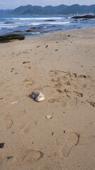 footprints on the beach